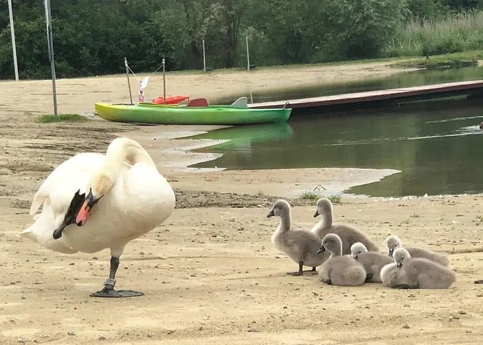 Lägenhet Nad Zalewem